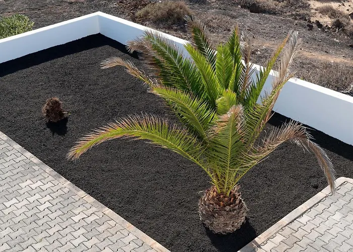 Delmar - Fula * צ'ארקו דל פאלו