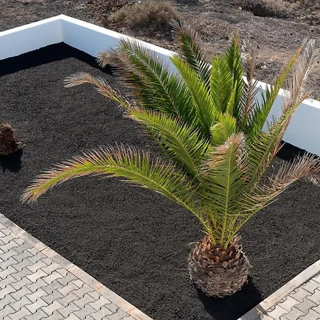 Delmar - Fula * Charco del Palo